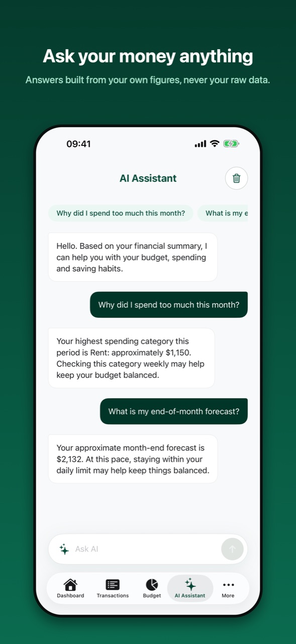 Money Mate AI assistant screen