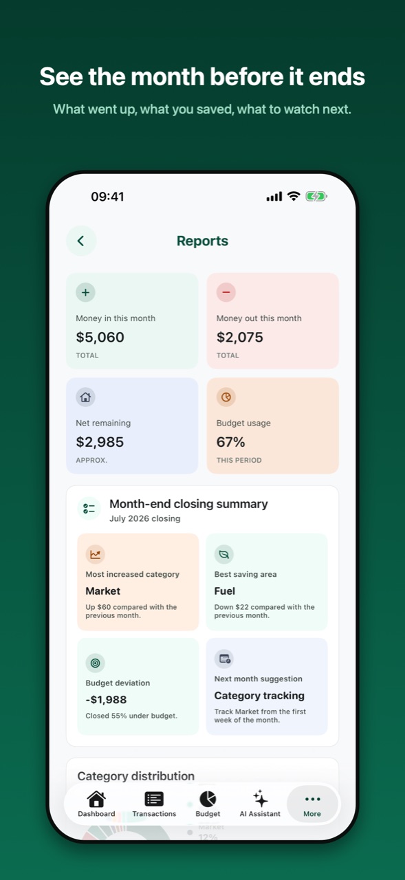 Money Mate AI reports screen